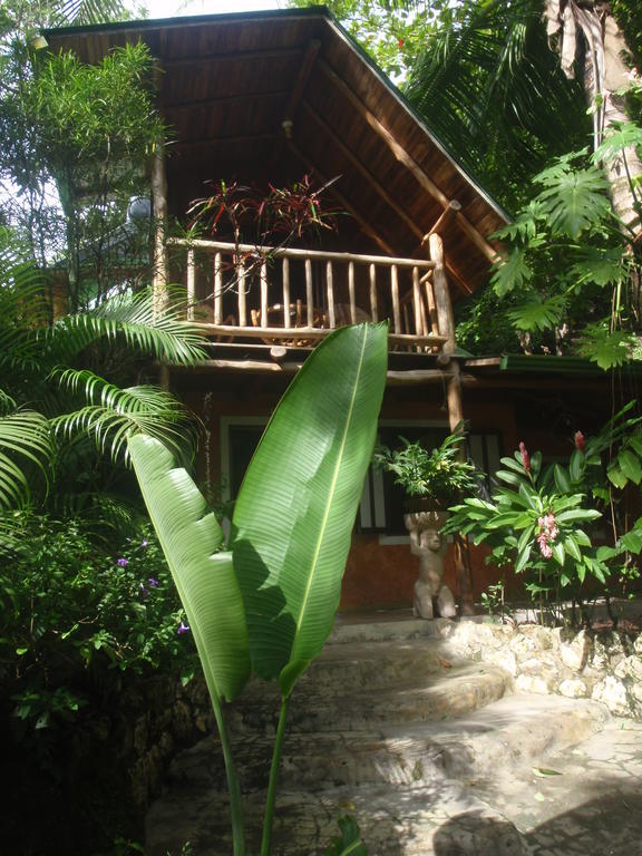 Pachamama Tropical Garden Lodge Malpais Rum bild