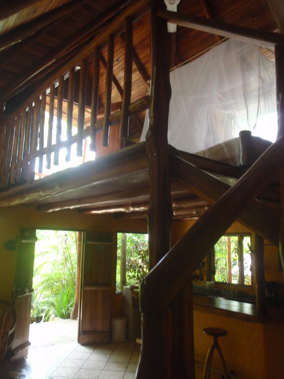 Pachamama Tropical Garden Lodge Malpais Rum bild