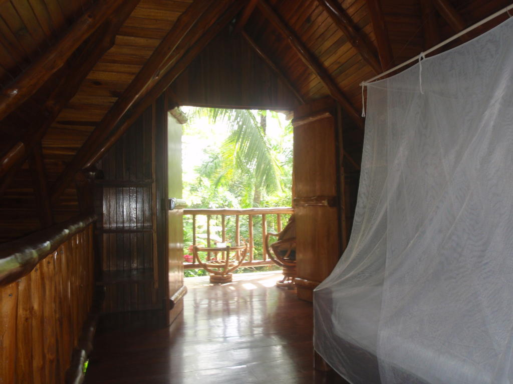 Pachamama Tropical Garden Lodge Malpais Rum bild