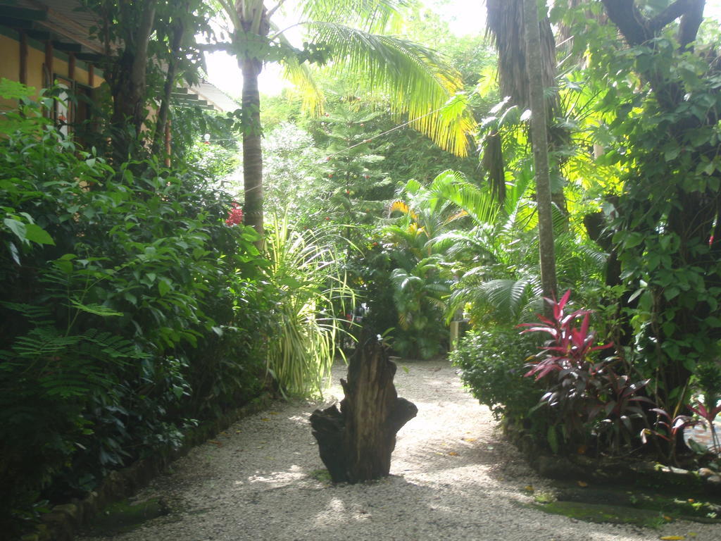Pachamama Tropical Garden Lodge Malpais Exteriör bild