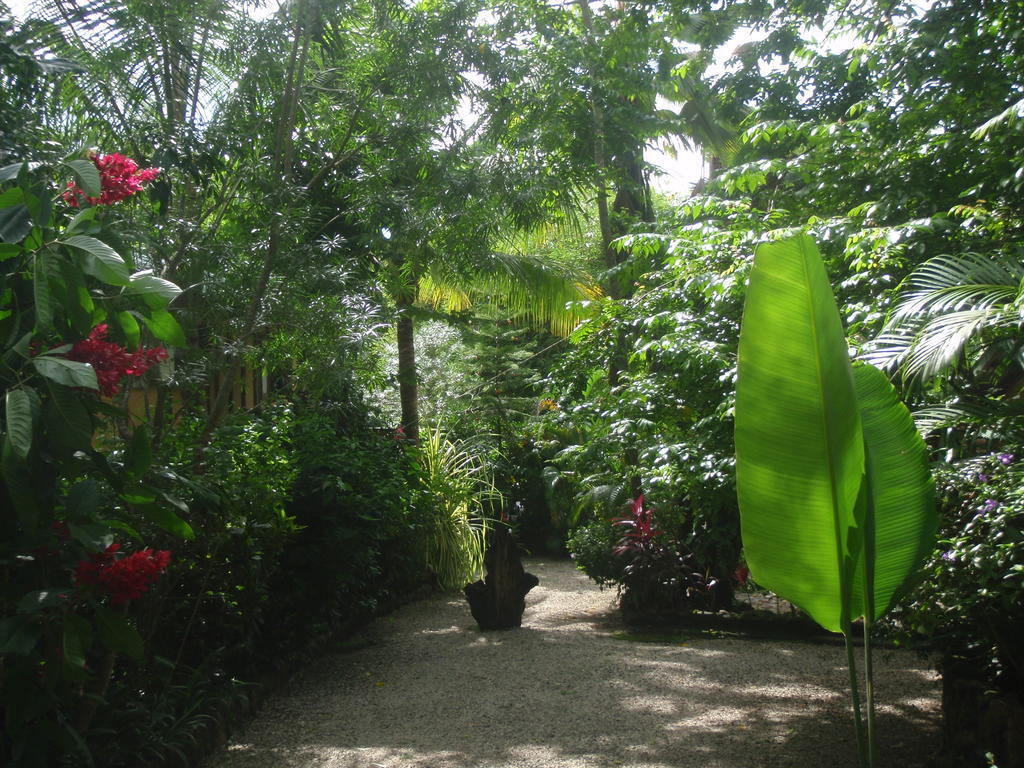 Pachamama Tropical Garden Lodge Malpais Exteriör bild