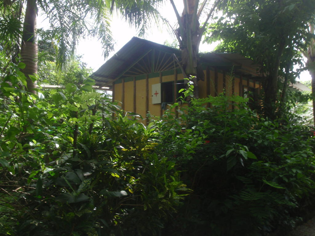 Pachamama Tropical Garden Lodge Malpais Rum bild