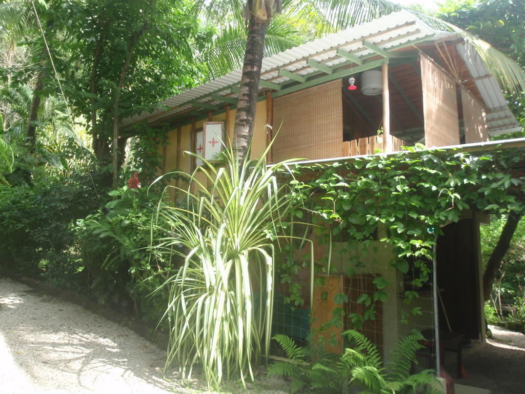 Pachamama Tropical Garden Lodge Malpais Rum bild